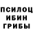 Галлюциногенные грибы Psilocybine cubensis Evgen_rus