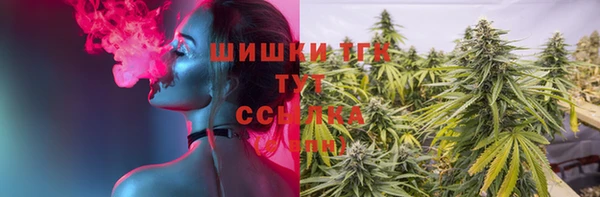 спиды Бородино