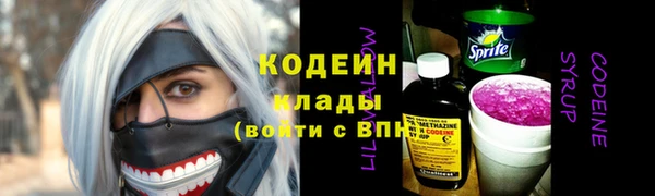 спиды Бородино