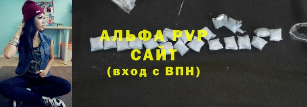 спиды Бородино