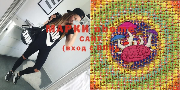 спиды Бородино