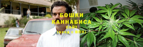 спиды Бородино