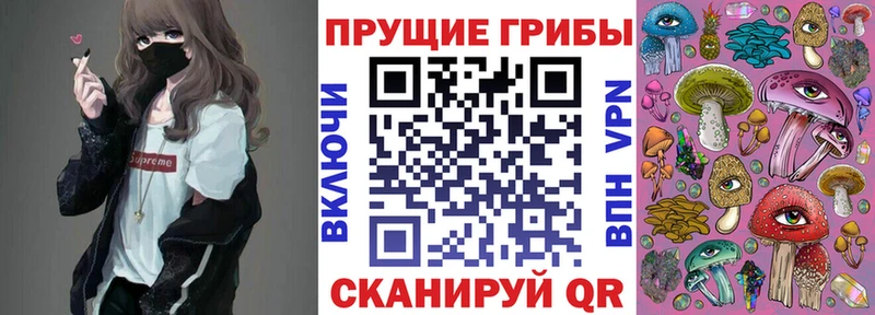 Галлюциногенные грибы Cubensis  Гулькевичи 